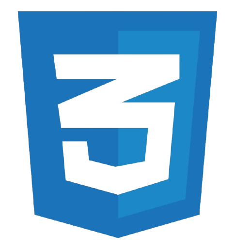 CSS Logo in Sayb-Team