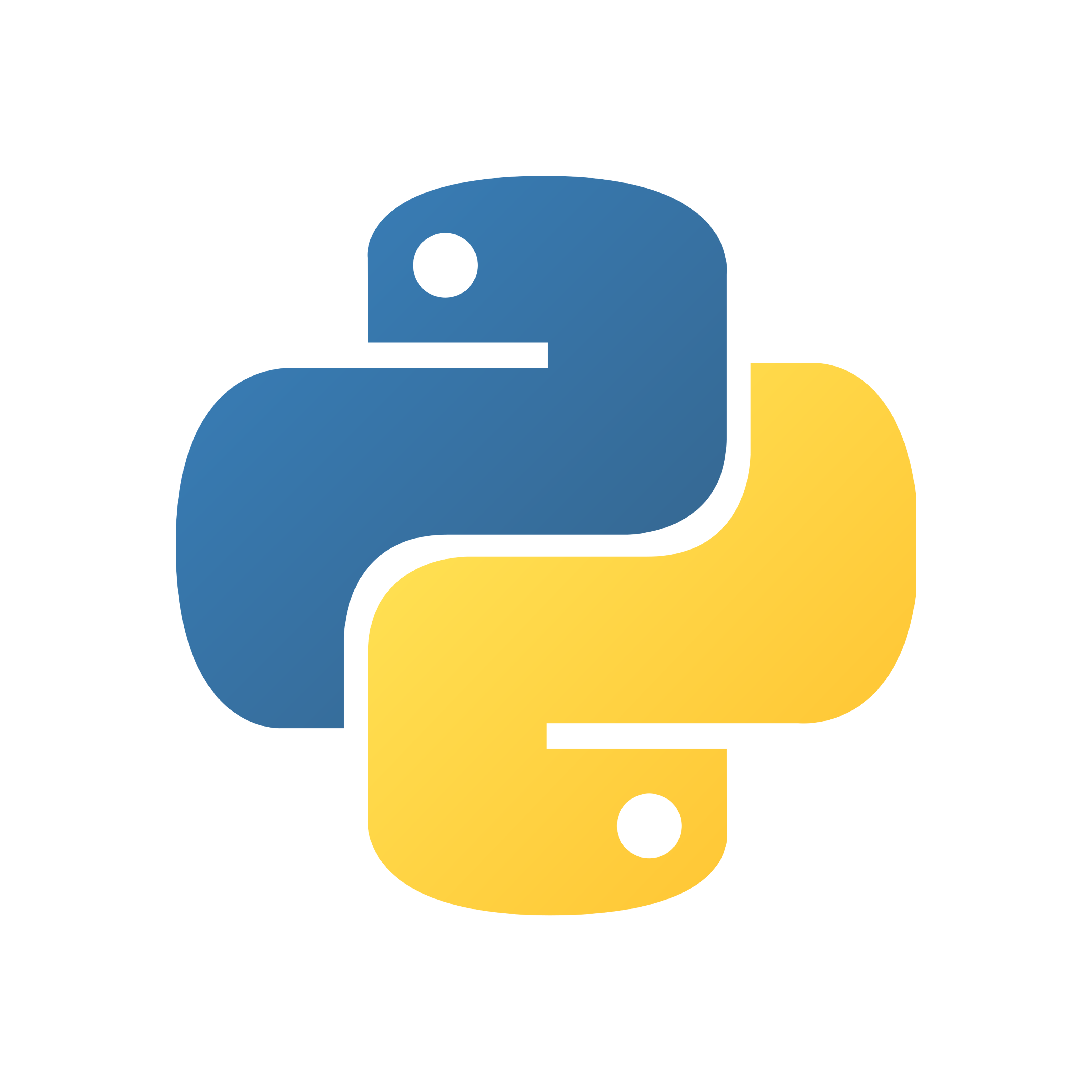 Python Logo in Sayb-Team